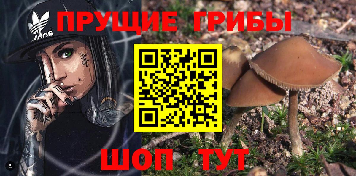 Ачинск  Галлюциногенные грибы Magic Shrooms  Вход с VPN 