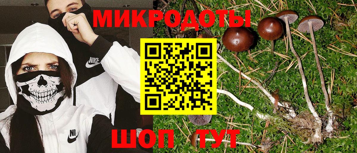 Псилоцибиновые грибы ЛСД Ачинск