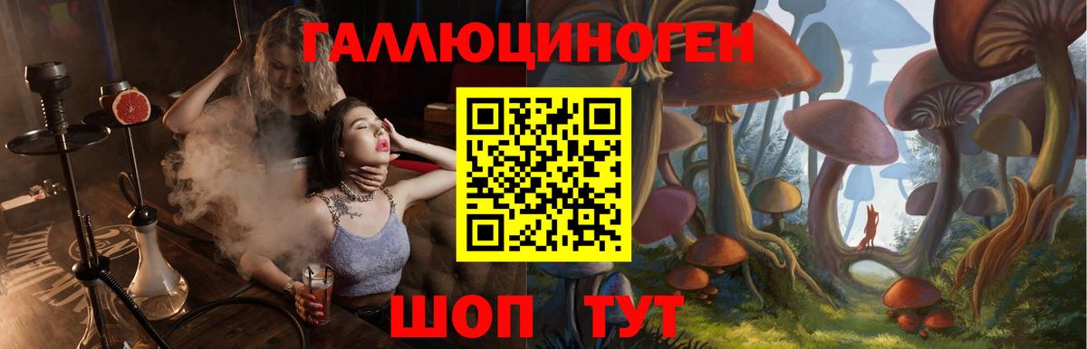 Конопля Ачинск